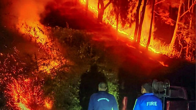 Deadly LA Wildfire Smoke Found 10 Times More Toxic Than Regular Air Pollution